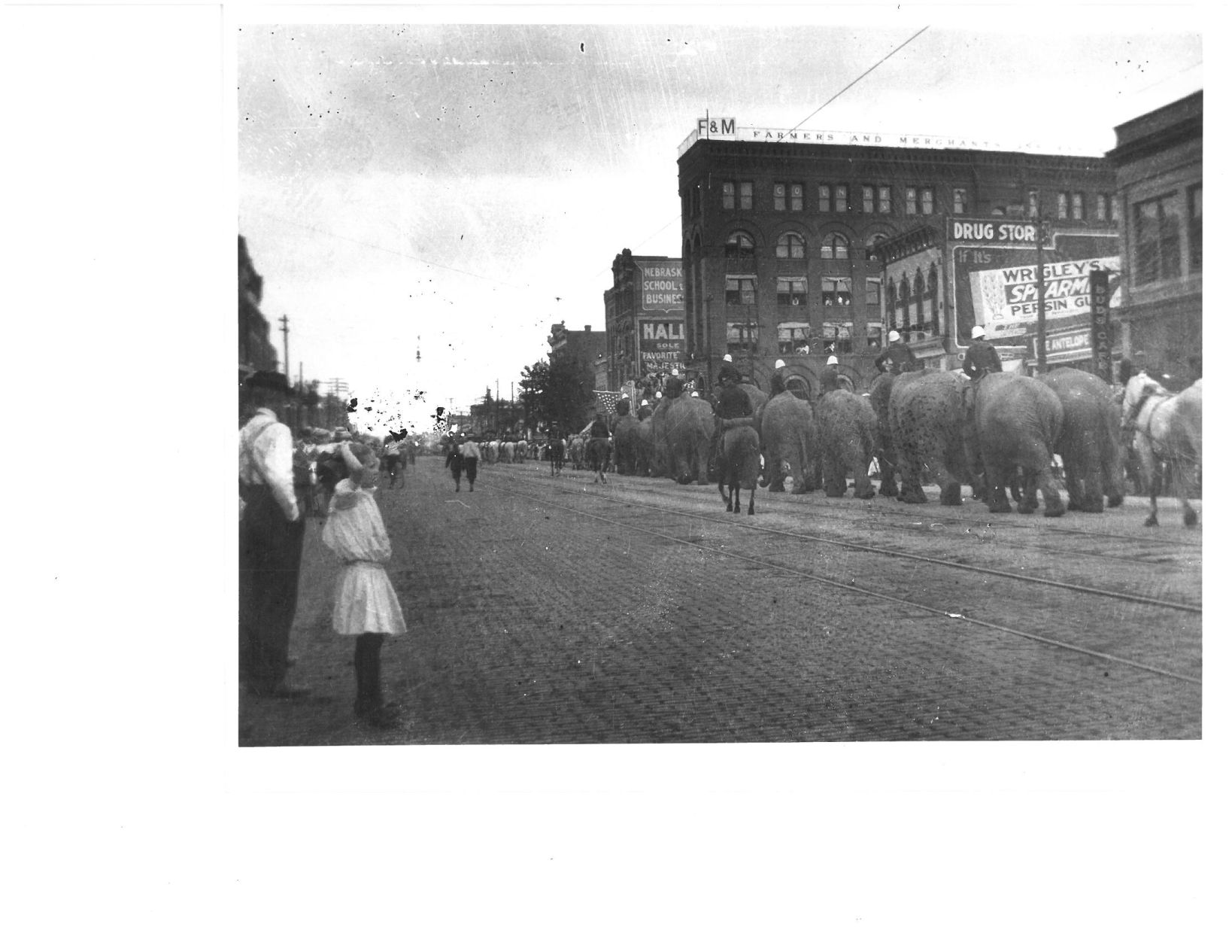 Elephants on Parade in 1915